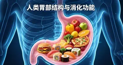人类的胃，到底藏着多惊人的消化实力？