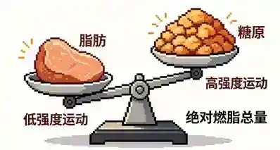 燃脂心率区间：一个被营销神化了的减肥迷信