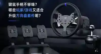 键鼠手柄不够嗨？哪些玩家/游戏又适合升级方向盘套件呢？