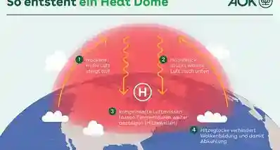 逼近40℃却无空调：聊聊德国“热穹”暴击下的奇葩生存图鉴