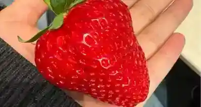 士多啤梨不是梨，是草莓！12 个关于食物的有趣知识你知道吗？