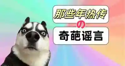 曾经我们听过的谣言（6）