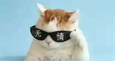 只靠打工永远无法实现财富自由