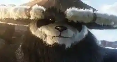 从前，有个拒绝站队的熊猫人，被暴雪写进了游戏彩蛋