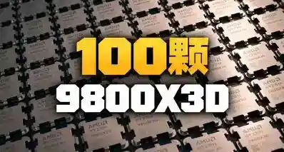 谁是大雕？谁是大雷？实测100颗9800X3D！什么样的CPU才算好体质？