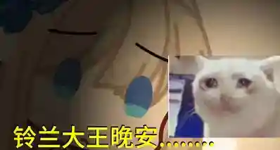 铃兰大王晚安……《战舰少女 R》主创毛佳栋离世，年仅40岁