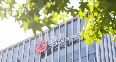 钱多活少，适合养老——游卡的职场内幕
